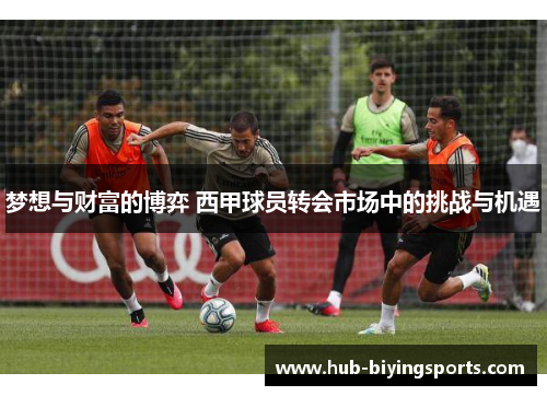 梦想与财富的博弈 西甲球员转会市场中的挑战与机遇