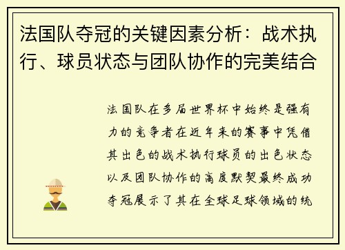 法国队夺冠的关键因素分析：战术执行、球员状态与团队协作的完美结合