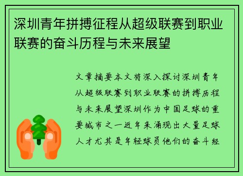深圳青年拼搏征程从超级联赛到职业联赛的奋斗历程与未来展望